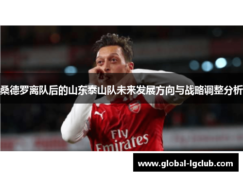 桑德罗离队后的山东泰山队未来发展方向与战略调整分析