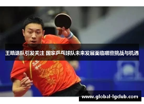 王皓退队引发关注 国家乒乓球队未来发展面临哪些挑战与机遇